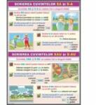 EURO-DLF Ortografierea grupurilor: s-a / sa si s-au /sau Scrierea cuvintelor cu mp si mb (DUO) - Plansa cu 2 teme distincte (CP11)
