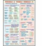 EURO-DLF Plansa dubla - Verbul, modurile si timpurile/ Mijloace de imbogatire a vocabularului (LR11)
