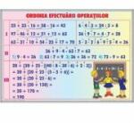EURO-DLF Ordinea efectuarii operatiilor / Impartirea numerelor naturale (DUO) - Plansa cu 2 teme distincte