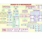 EURO-DLF Ecuatii cu o necunoscuta/Prisma - Plansa fata-verso (MP13)
