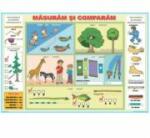 EURO-DLF Masuram si comparam / Instrumente de masurare (DUO) - Plansa cu 2 teme distinct