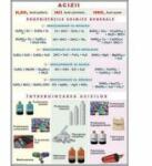 EURO-DLF Acizii / Structura materiei (duo) - Plansa cu 2 teme distincte (CH6)
