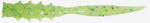 Jackall Good Meal Skinny 3.8cm Hot Lime Glow Chart 8buc (F1.JA.807198096)