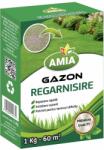 AMIA Seminte Gazon REGARNISIRE AMIA 1 Kg (HCTA00161)