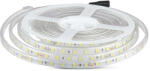 V-TAC Bandă LED 5050, 10W, 60 LEDs, 24V, IP65, 3000K (10978-)
