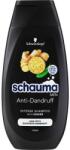 Schauma Șampon pentru bărbați Intensive cu ghimbir - Schauma Anti-Dandruff Intensive Shampoo Men 250 ml