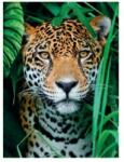 Clementoni Jaguár a Dzsungelben 500 db-os (35127)