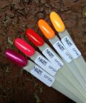 NiiZA Gel Polish 4ml - 339 - jolifodraszkellek