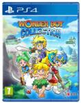 ININ Games Wonder Boy Collection (PS4)