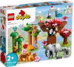 LEGO® DUPLO® - Ázsia vadállatai (10974)