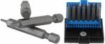 BGS technic 5289 Burghiu