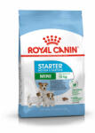 Royal Canin Mini Starter Mother & Babydog 8 kg