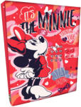 Euroswan Jurnal secret cu sunet - Minnie Mouse