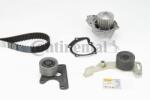 Continental Ctam Set pompa apa + curea dintata CONTINENTAL CTAM CT1061WP2 (CT1061WP2)