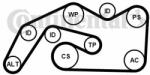 Continental Ctam Set curea transmisie cu caneluri CONTINENTAL CTAM 6PK2490K1 (6PK2490K1) - automobilus