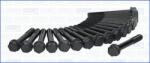 AJUSA Set surub, chiulasa AJUSA 81002400 (81002400)