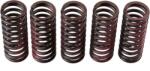 TRW Set arc ambreiaj TRW MEF312-5 (MEF312-5) - automobilus