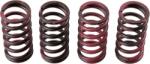 TRW Set arc ambreiaj TRW MEF311-4 (MEF311-4)
