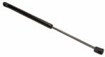 MAXGEAR Amortizor portbagaj MAXGEAR 12-1555 (12-1555)