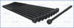 AJUSA Set surub, chiulasa AJUSA 81021600 (81021600)