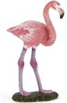 Papo Figurine - Vadon élő állatok, Tengeri Flamingó