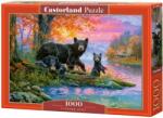 Castorland Пъзел Castorland от 1000 части - Семейство мечета (C-104727-2)