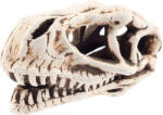 AQUA NOVA Dinoszauruszkoponya 28065-ös számú
