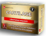 Sprint Pharma - Cartilage Repair Sprint Pharma 30 capsule 30 capsule - vitaplus