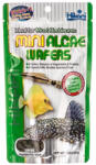 Hikari Mini Algae Wafers 85 g - INVITALpet