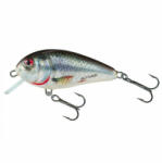 Salmo Vobler Salmo Butcher Sinking BR5S, Holographic Real Dace, 5cm, 7g (84445500)