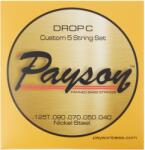 Payson Fanned Drop C NS 5 set