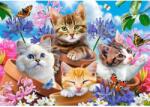 Castorland Puzzle Castorland din 500 de piese - Pisicute dragute (B-53513) Puzzle