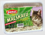 Panzi dobozos macskafű