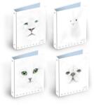 Pigna Gumis mappa A/4 PIGNA Monocromo White (02309133L)