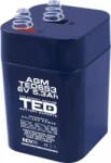 TED Electric Acumulator AGM VRLA 6V 5.3A dimensiuni 67mm x 67mm x h 97mm cu arcuri tip 4R25 TED Battery Expert Holland (AGM TED653 6V 5.3Ah)