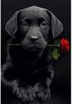  Fekete labrador kölyök rózsával a szájában kreatív gyémánt kirakó készlet
