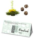 Feelino Чаени цветя, 6 различни сорта, индивидуално опаковани, много продуктивни (HIH0K1W19S) (HIH0K1W19S)