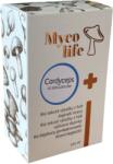 Mycolife Cordyceps - Az egészség őre 100 ml