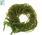  Peridot Margele Pietre Semipretioase Tub Fatetat - 3-6 x 2-3 mm