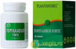 PLANTAVOREL Topinambur Forte 40cpr