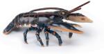 Papo Figurina Papo Marine Life - Homar (56052) Figurina