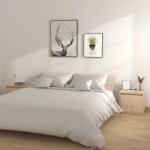 vidaXL Noptiere, 2 buc. , 40x30x40 cm, lemn masiv de pin (813306)