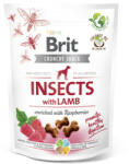 Brit Dog Crunchy Cracker Insects Lamb with Raspberries 200 g