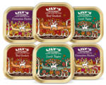 Lily's Kitchen Lilys Kitchen World Dishes Trays Multipack 6x150 g