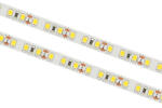 ARLIGHT Banda LED , 120 LED m , 12V , 9.6W , 6000K , IP20 , 960lm , 8mm