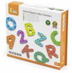 Viga Toys Set de litere si numere magnetice, Viga, 77 piese
