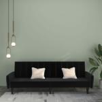 vidaXL Canapea extensibilă cu 2 locuri, negru, catifea (337542) Canapea