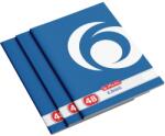 Herlitz Caiet A4, 48 file, dictando, Rainbow, 10 buc/set Herlitz PCKHZ9480830 (PCK9480830)