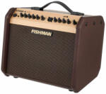 Fishman PRO-LBT-500 Loudbox Mini Bluetooth 60W akusztikus gitárkombó