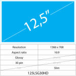 Notebook LCD 15.6 LCD Slim Matte 30 pin Full HD No brackets, Glossy